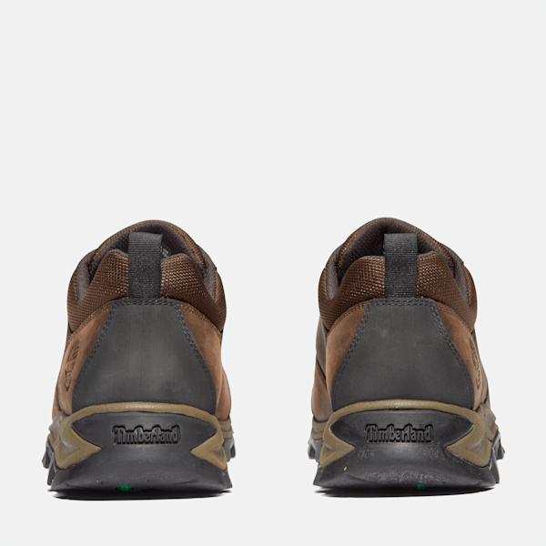 Men's Mt. Maddsen Low Waterproof Hiking Boot / Brown