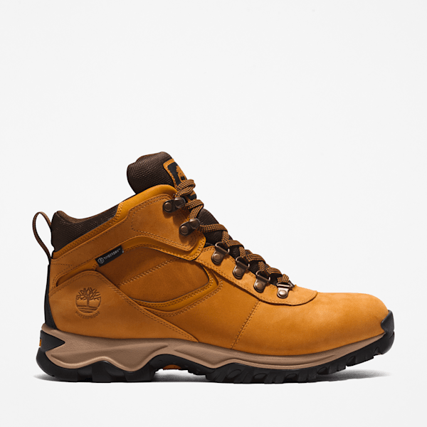 Men's Mt. Maddsen Mid Waterproof Hiking Boot / Wheat