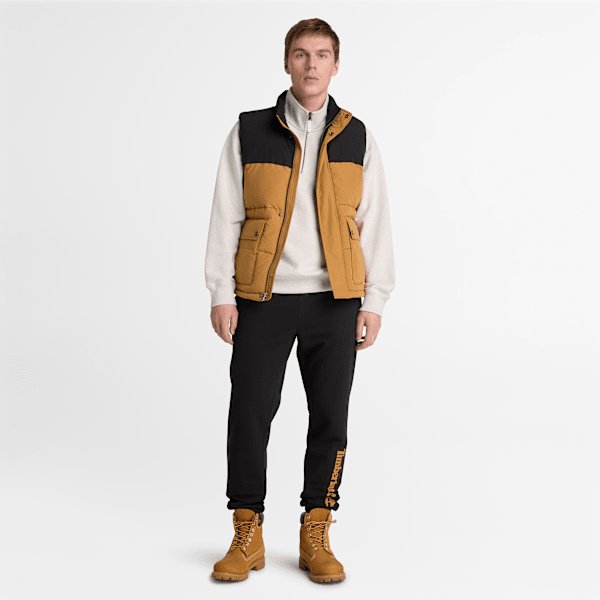 Men's Northwood Linear Logo Sweatpant / Black