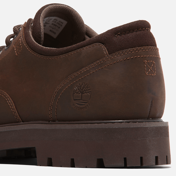 Men's Britton Road Waterproof Shoe / Dark Brown Full-Grain