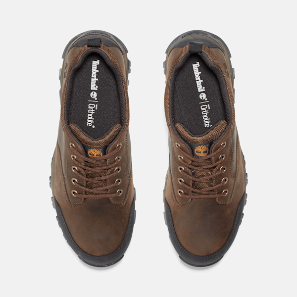 Men's Mt. Maddsen Low Waterproof Hiking Boot / Brown
