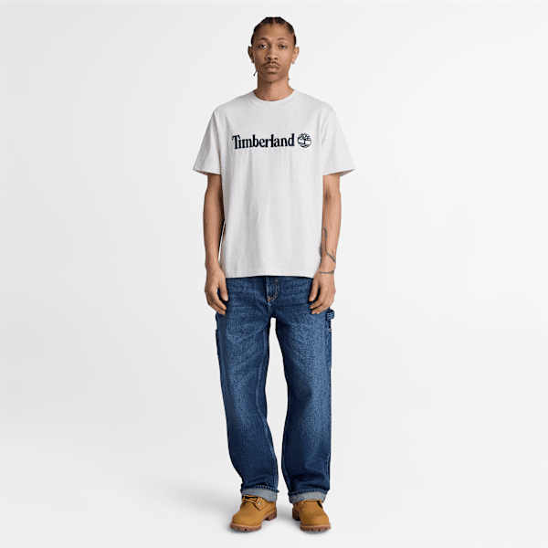 Men's Established 1973 Embroidered Short-Sleeve T-Shirt / Light Oatmeal Heather