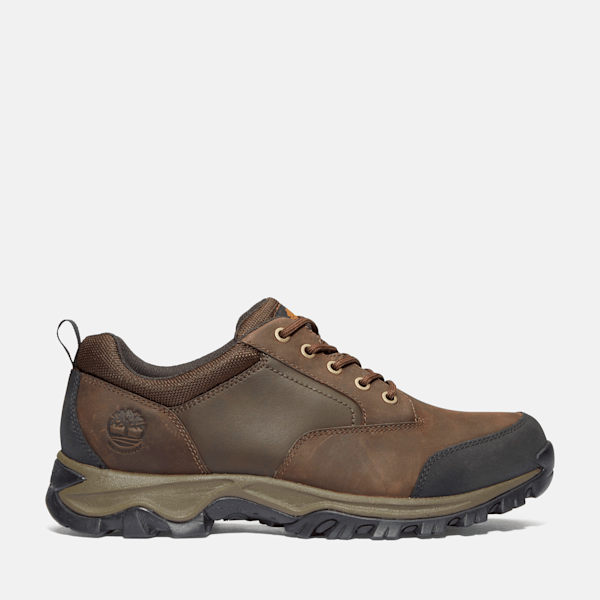 Men's Mt. Maddsen Low Waterproof Hiking Boot / Brown