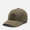 Soundview Embroidered Baseball Cap / Leaf Green