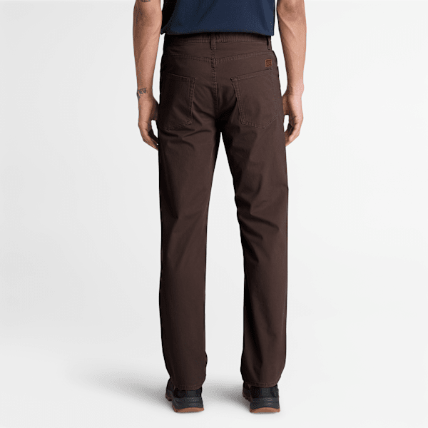 Men's Sandown Cavalry Twill Pant / Dark Brown