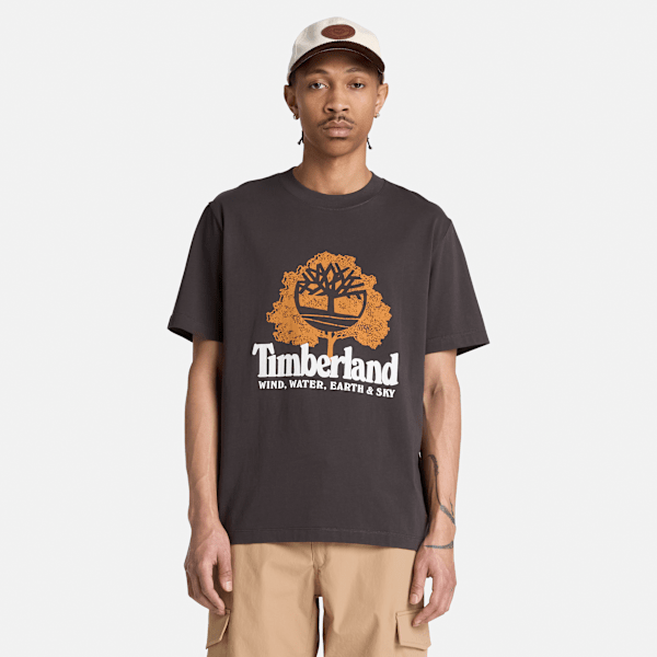 Men's Elements Graphic T-Shirt / Vintage Black