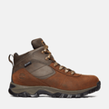 Men's Mt. Maddsen Mid Waterproof Hiking Boot / Dark Brown