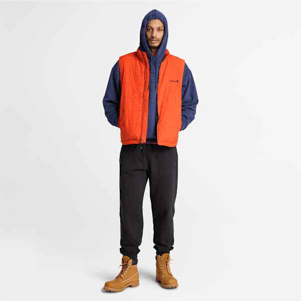 Men's Shorewood Heavyweight Core Hoodie / Dark Navy