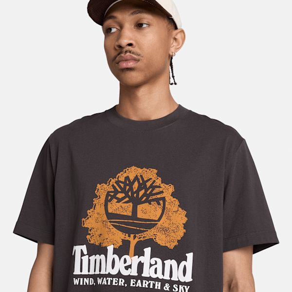 Men's Elements Graphic T-Shirt / Vintage Black