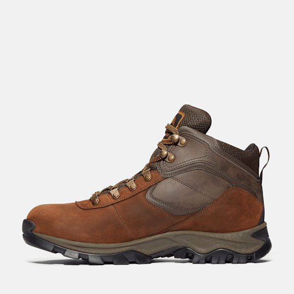 Men's Mt. Maddsen Mid Waterproof Hiking Boot / Dark Brown