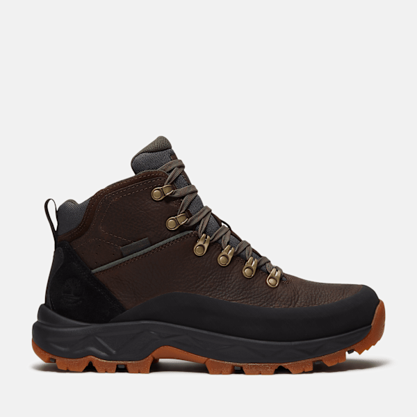 Men's Mt. Maddsen 2.0 Hiking Boot / Dark Brown Full-Grain