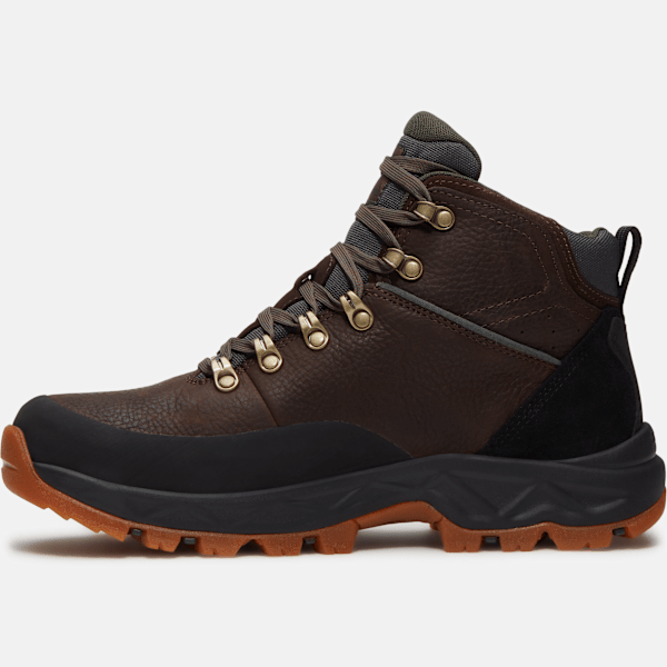 Men's Mt. Maddsen 2.0 Hiking Boot / Dark Brown Full-Grain