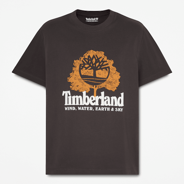 Men's Elements Graphic T-Shirt / Vintage Black